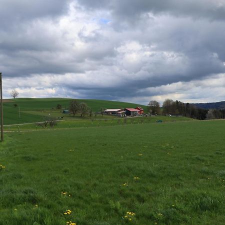 Ferienwohnung Hippenhof Hohenfels  Exteriér fotografie