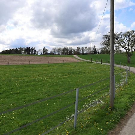 Ferienwohnung Hippenhof Hohenfels  Exteriér fotografie