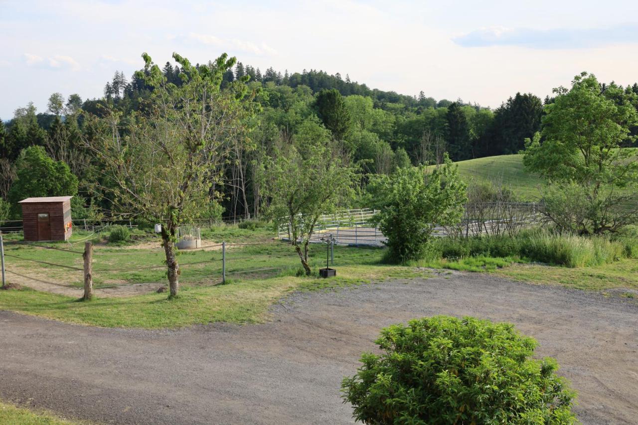 Ferienwohnung Hippenhof Hohenfels  Exteriér fotografie