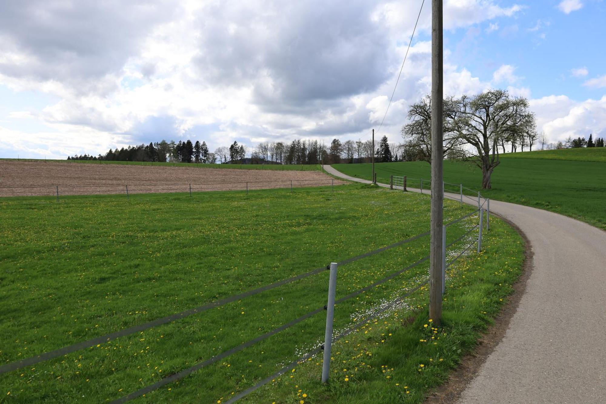 Ferienwohnung Hippenhof Hohenfels  Exteriér fotografie