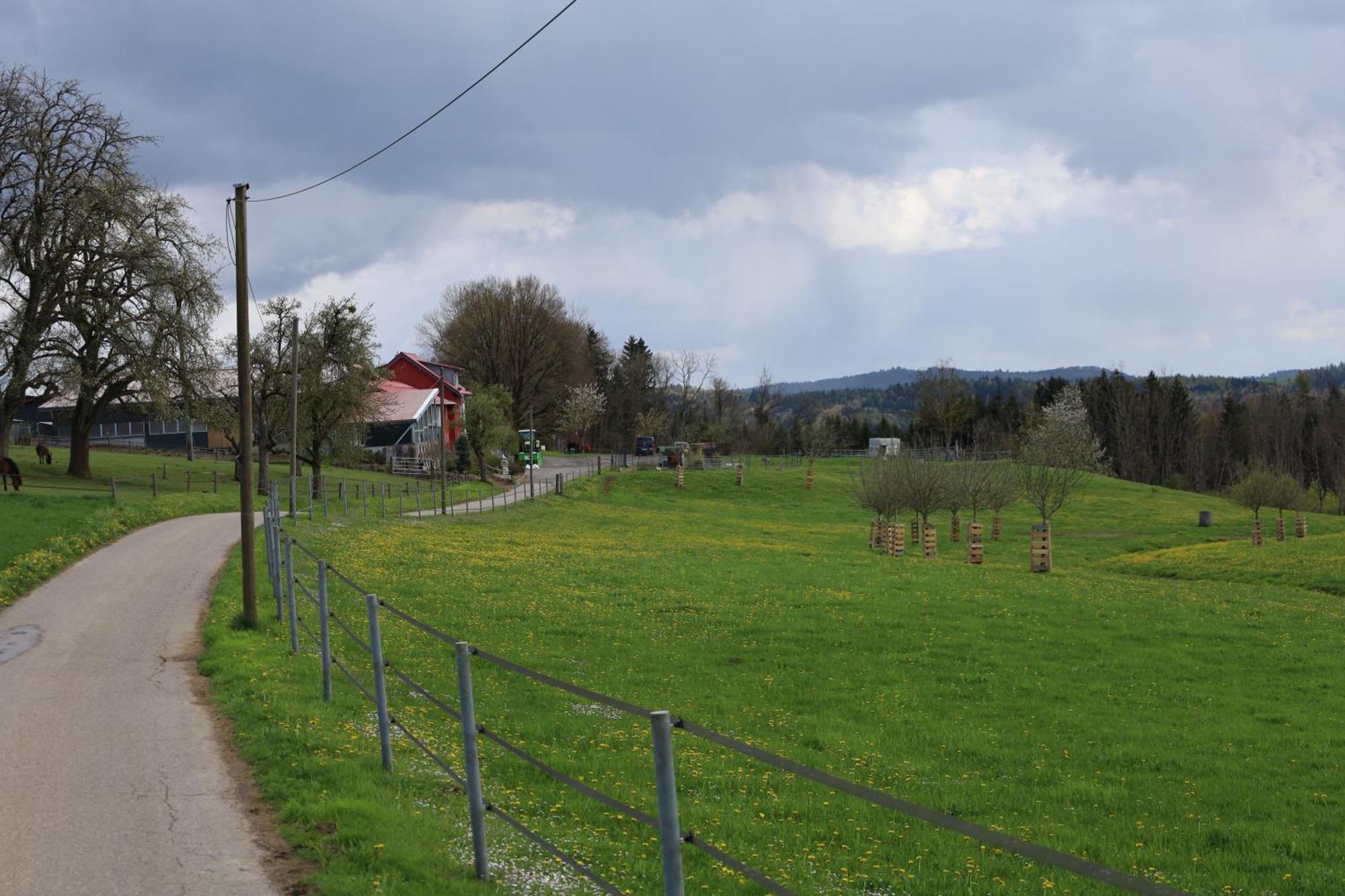 Ferienwohnung Hippenhof Hohenfels  Exteriér fotografie